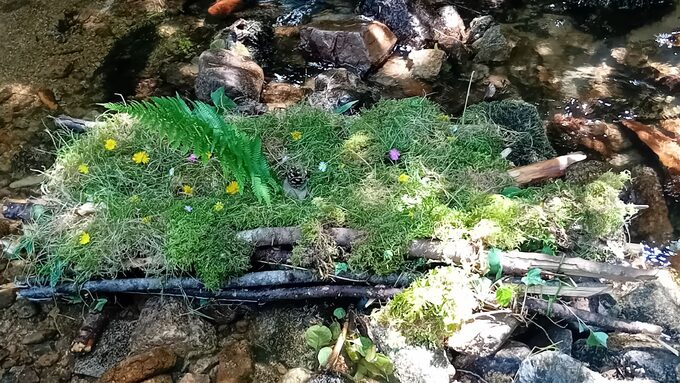 20250620_124100.jpg
